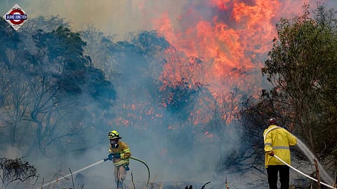 Massive wildfire near Jerusalem triggers national emergency.
