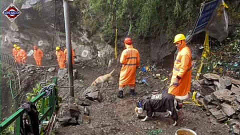 Search and rescue efforts are ongoing under difficult weather conditions and challenging terrain.