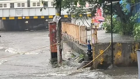 Visuals showed the subway submerged in floodwaters, while a local train passed over it. | Mumbai floods