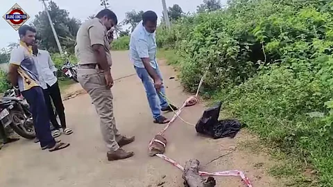 The incident has sent police in Tumakaru district into a tizzy and sparked panic among locals
