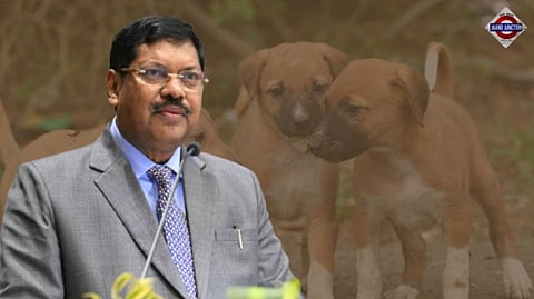 CJI BR Gavai enters amid fury over Supreme Court's stray dog order