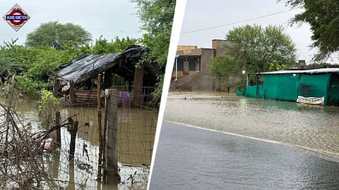 Heavy rain submerged several parts of Rajasthan.