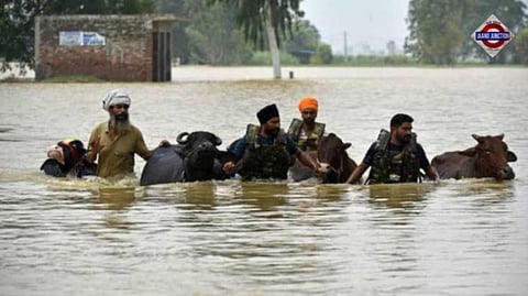 Worst Floods in Decades Ravage Punjab; 1.75 Lakh Acres Farmland Submerged