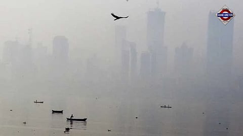 Air Pollution ( representative image)