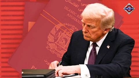 US Suspends Afghan Visas, All Asylum Applications After Fatal Shooting Near White House