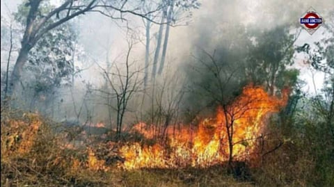 Uttarakhand's Valley of Flowers burning as lack of snow triggers wildfire
