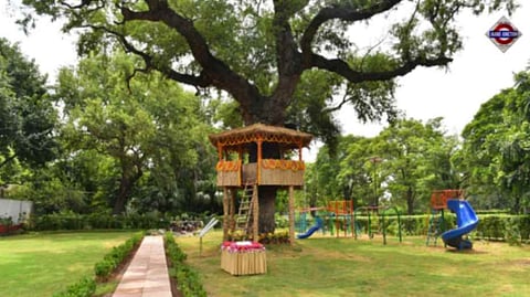 Rashtrapati Bhavan's Amrit Udyan to be open for public from Feb 3 to Mar 31