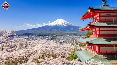 Japanese city cancels cherry blossom festival.