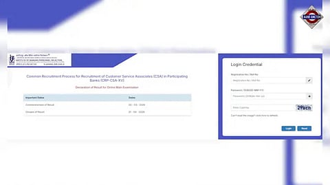 IBPS Clerk Mains 2025 Result: Scorecard Released, Download Directly Here