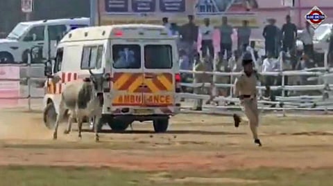 Bull Crashes Begusarai Ground Before CM Nitish’s Chopper Lands, Chases Cop: ‘Police Ko Itni Tez Bhaagte Pehli Baar Dekha’