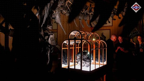 World's First 'Dinosaur Leather' Handbag Created Using Lab-Grown Collagen