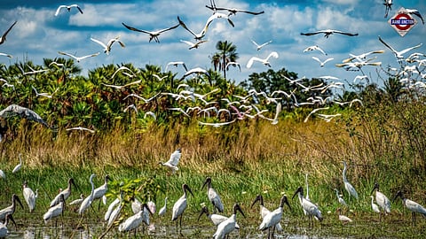 Manipur Cabinet approves Kharungpat Bird Sanctuary in Kakching district