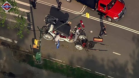 Indian teenager dies in New York