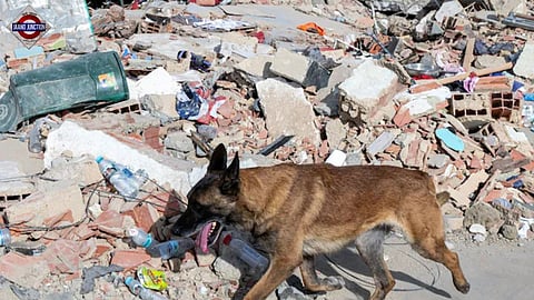 After four days, father and son pulled alive from Venezuela earthquake rubble.