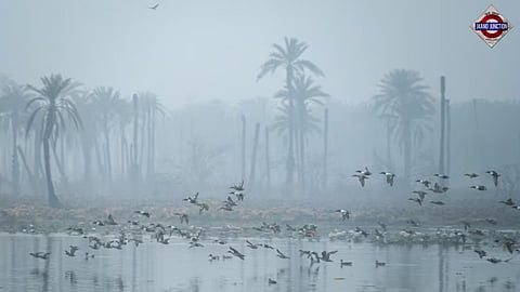 Surajpur Wetland: Greater Noida’s Hidden Escape | #IKnowAPlace
