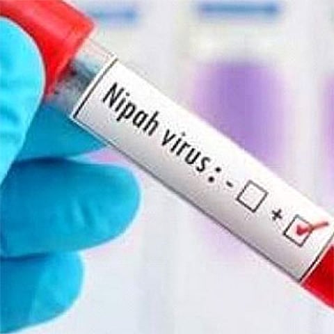 கேரளாவில் அதிகரிக்கும் நிபா வைரஸ் பரவல்: அண்டை மாநிலங்கள் அச்சம்!