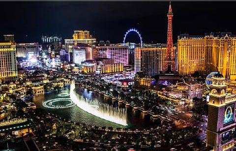 பாலைவனத்தில் பணம் காய்க்கும் மரங்கள்