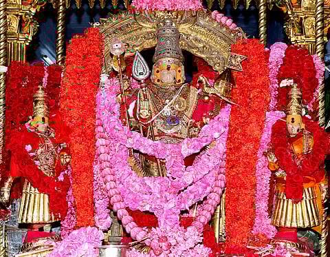 செந்தூர் 40!