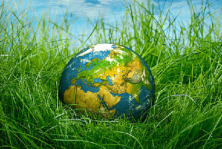 கவிதைத் தூறல்