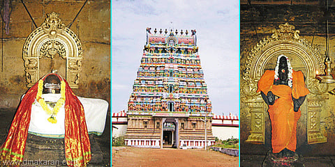 சூரியனைக் காண மறுக்கும் பவளமல்லி!