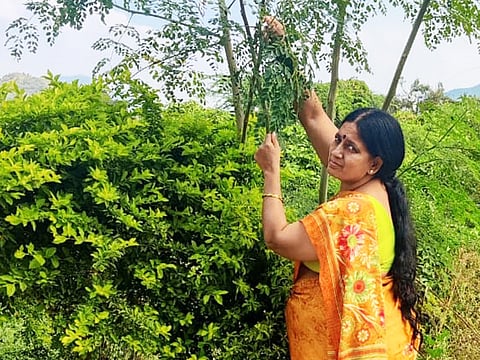 தொழிலுக்கு இல்லை தோல்வி!