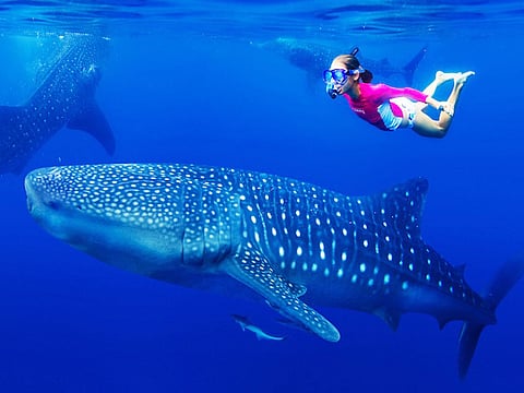 கல்லாதது கடலளவு!