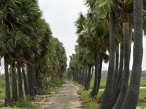 கவிதைத் தூறல்!