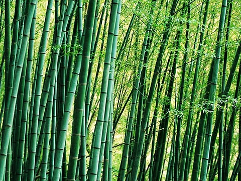 ஒரு வார்த்தை!