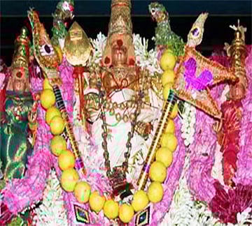 பங்குனி உத்திரத் திருவிழா; திருச்செந்தூரில் பக்தர்கள் நேர்த்திக் கடன்!