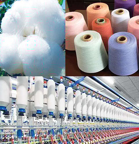 அழியும் ஆபத்தின் விளிம்பில்