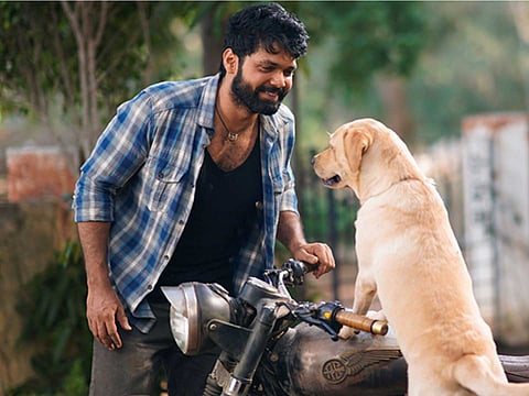 777 சார்லி: அன்பின் பரிமாற்றம்!