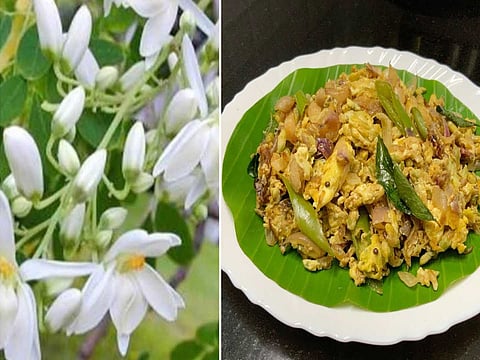 பலவித பச்சடி ; பலரகப் பொடி!