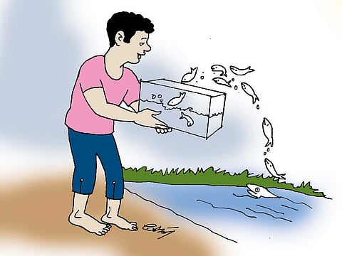 வாய்ப்புகளை வசப்படுத்துவோம்! வளம் காண்போம்…