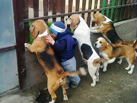 புகைப்படக் கவிதை!