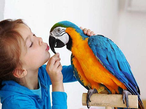 செல்லப்பிராணி பிரியரா நீங்கள்? இது உங்களுக்குத்தான்…