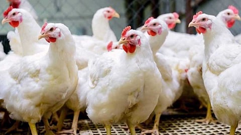 அனுபவங்கள் உணர்த்திய பாடங்கள்!