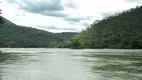 புதிருக்குள் ஒளிந்திருக்கும் பழமொழியை கண்டுபிடியுங்கள்