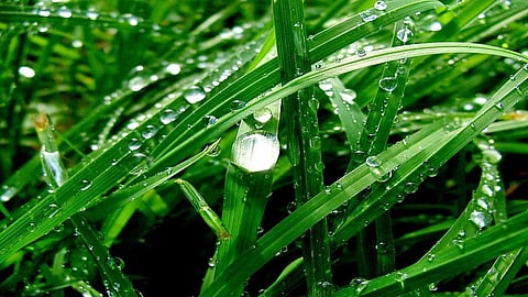 இரவின் மடியில்...