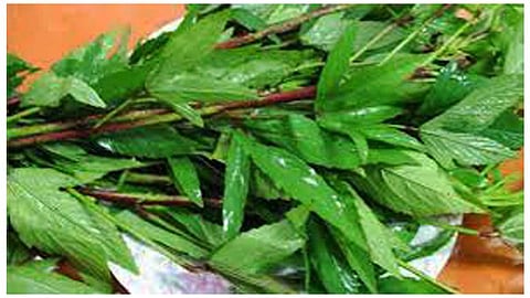 பலனளிக்கும் பாட்டி வைத்தியம்!