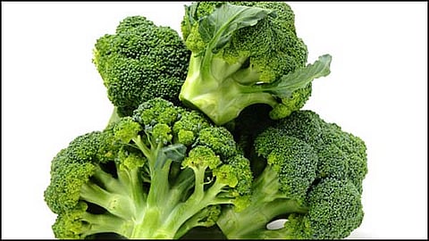 ப்ரோக்கோலி