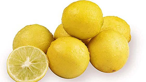 மதியூக மந்திரி எலுமிச்சை!