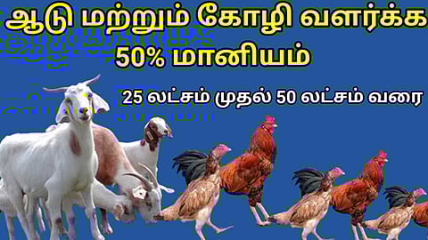 ஆடு, கோழி வளர்க்க 50% மானியம்: மத்திய அரசு அறிவிப்பு!