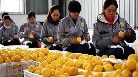 எலுமிச்சம்