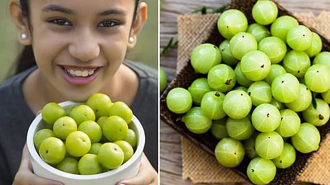 முதுமையை தடுக்கும் நெல்லிக்கனி!