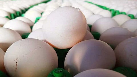 விமானத்தில் பறக்கும் நாமக்கல் முட்டைகள்...