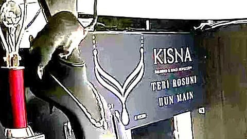 எலிக்கு வந்த பேராசை இல்லையில்லை; நகையாசை!