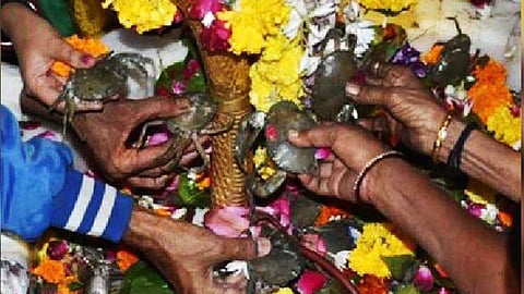 சிவனுக்கு நண்டுகளை காணிக்கையாகச் செலுத்தும் விநோதக் கோயில்!