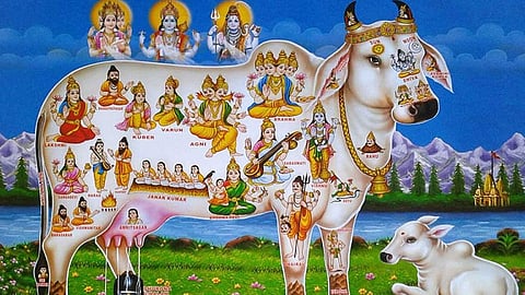 கோடி நலம் தரும் கோமாதா!