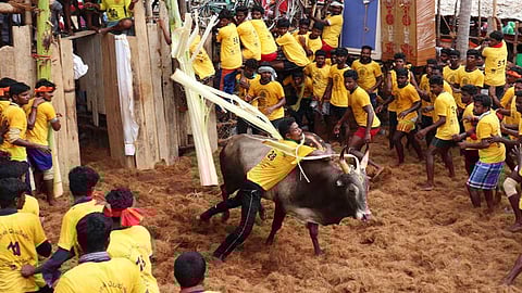 மஞ்சு விரட்டில் இத்தனை வகைகளா?