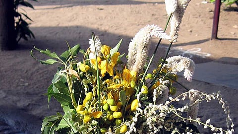 வீட்டு முகப்பை அலங்கரிக்கும் 'கூரைப்பூ கொத்து’!